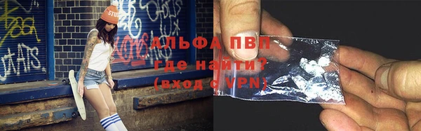 PSILOCYBIN Верхний Тагил