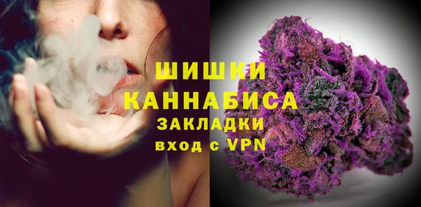 PSILOCYBIN Верхний Тагил